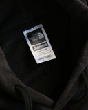 Supreme The North Face Metallic Logo Hoodie